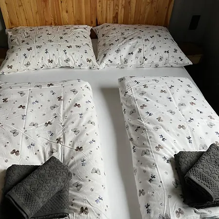 U Stříbrného Jelena - Tiny House *