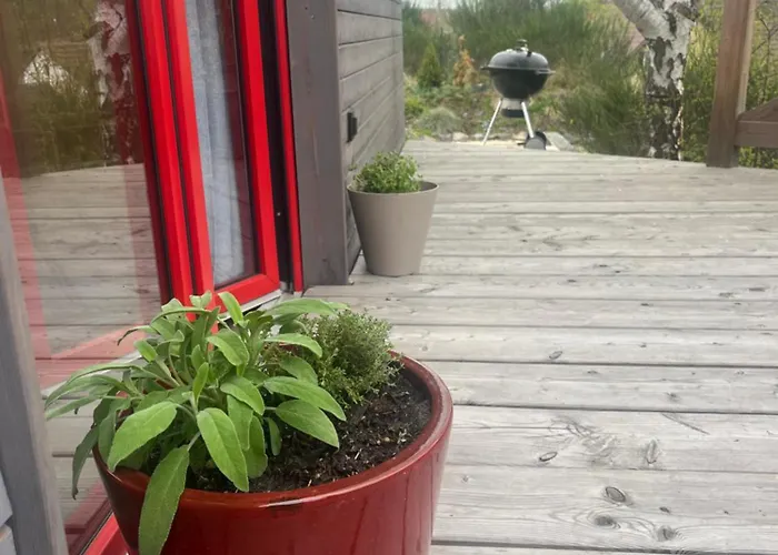 U Stribrneho Jelena - Tiny House Holiday home *